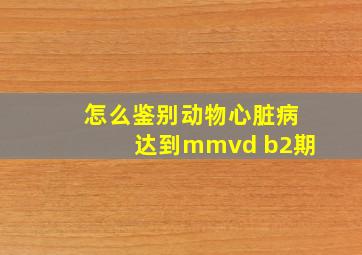 怎么鉴别动物心脏病达到mmvd b2期